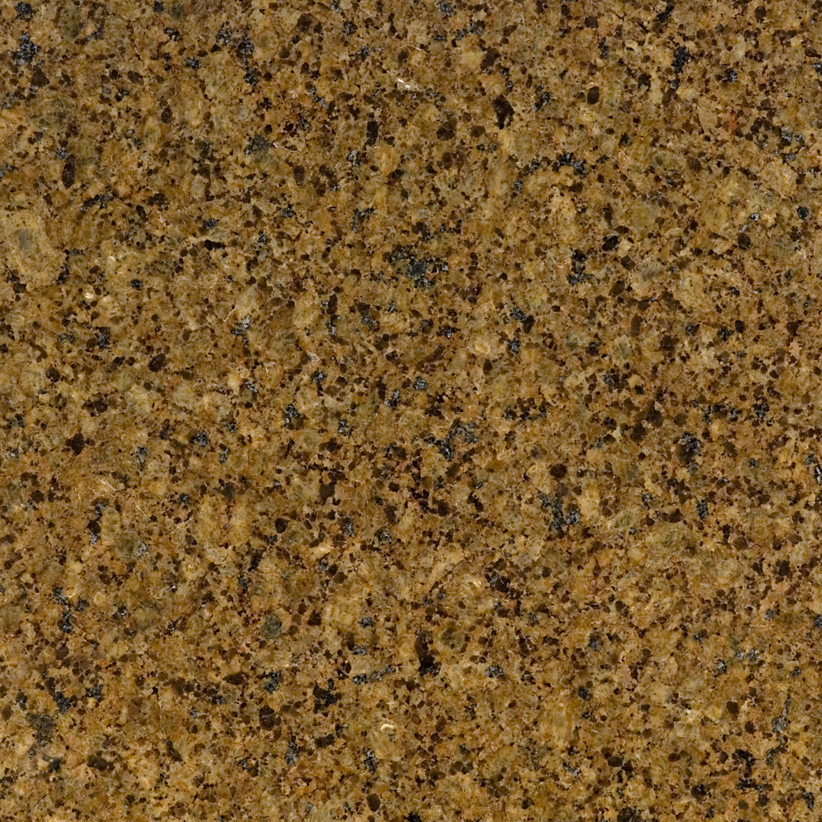  pe_174 
