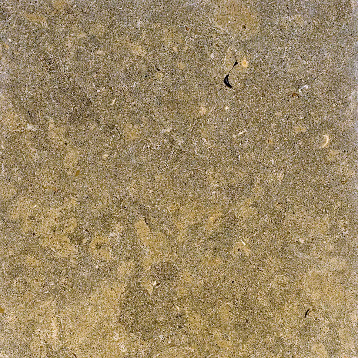  pe_33 